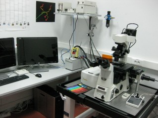 Microscop A De Fluorescencia Y Confocal Mfc Centro De Instrumentaci N Cient Fica